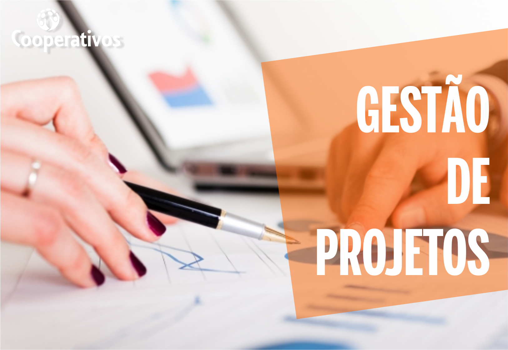 GESTÃO DE PROJETOS